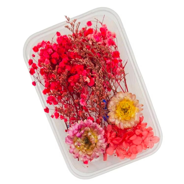 Dry Flower